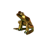 Frog - Eosin