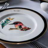 Domani by Patrizia Gucci - Dinner Service