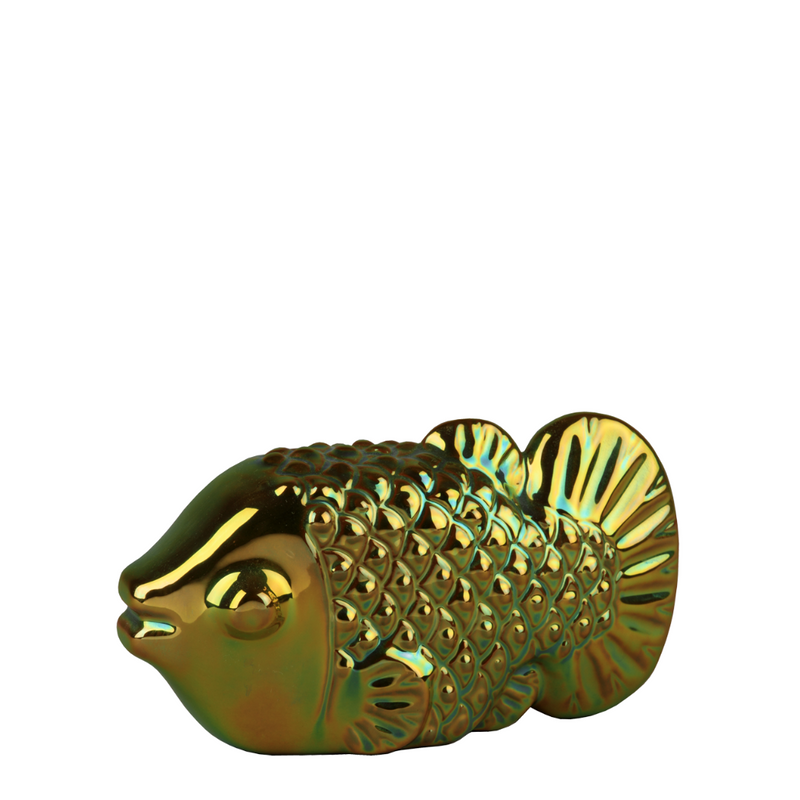 Judit Nador - Fish